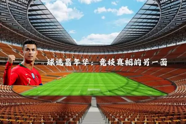 球迷嘉年华：竞技真相的另一面